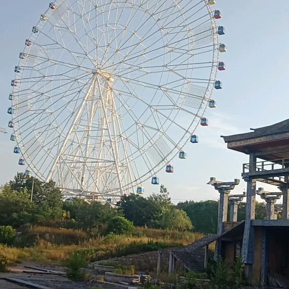 李哥是再生资源