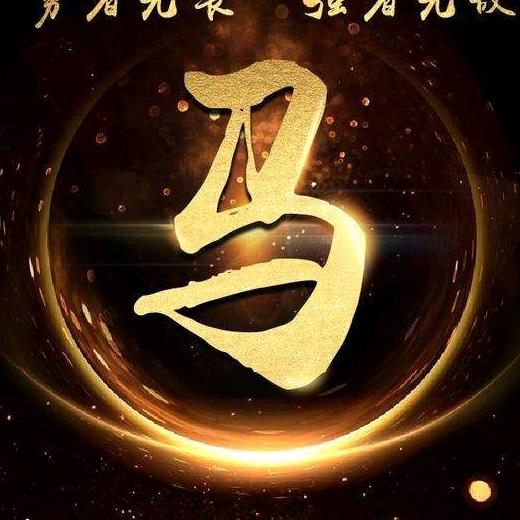 河南小马哥
