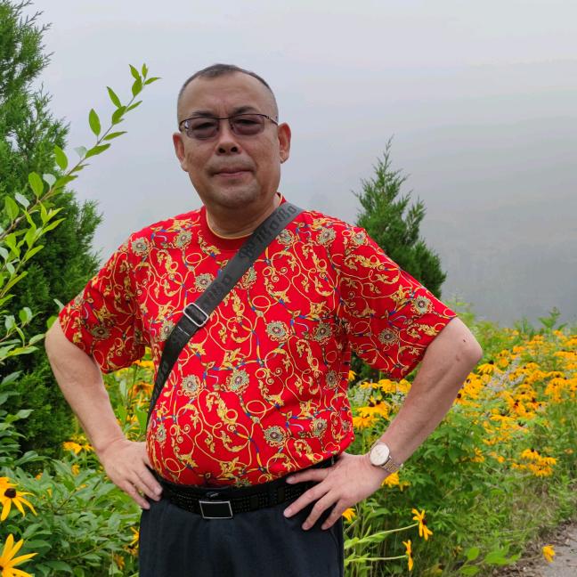 傅歌