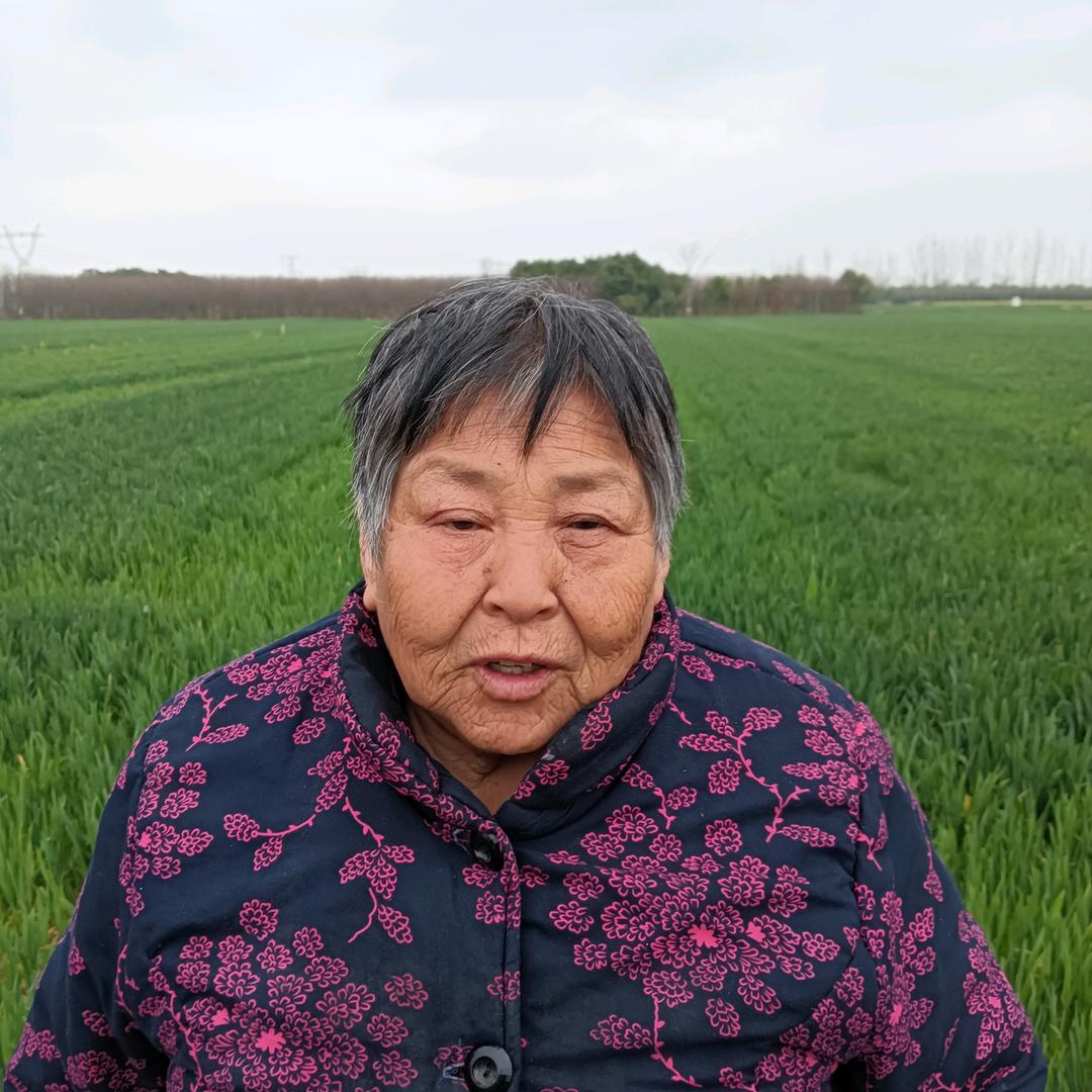 张云兰！（每天下午二点二十分钟开播）