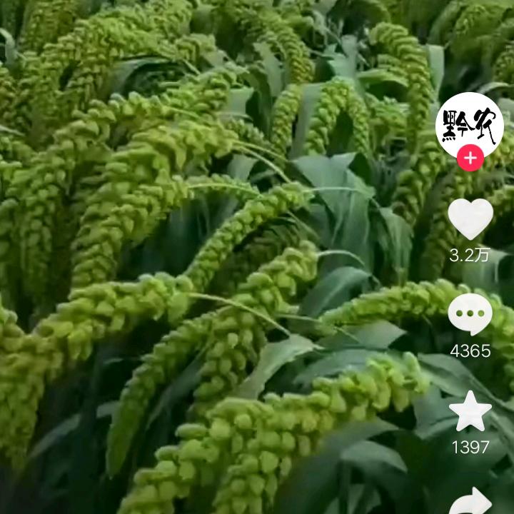 用户4945125546079心想事成