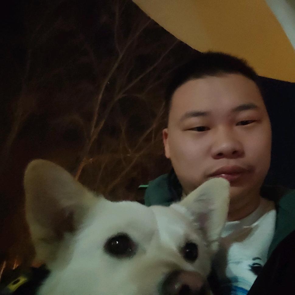 怪扎扎
