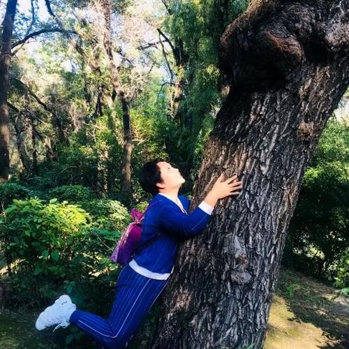 玲掌柜/宝缦5A抗菌床品