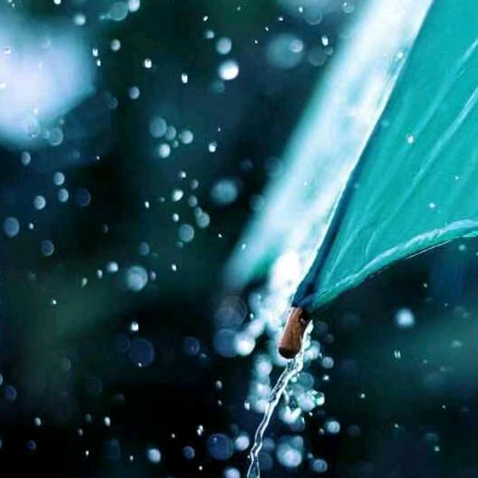 铜陵欣雨遮阳装饰品有限公司