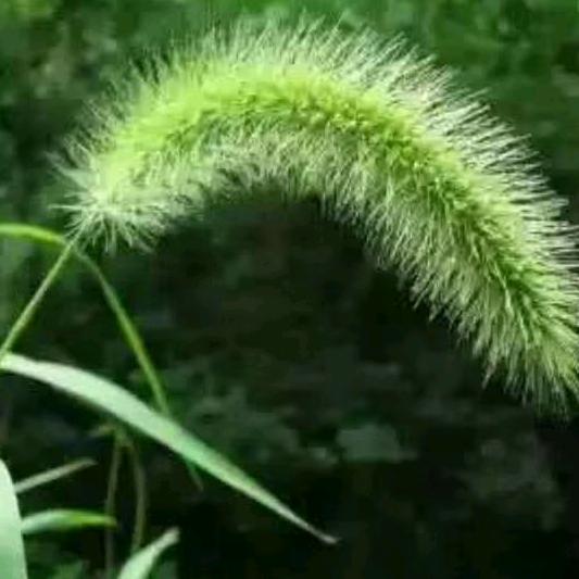 故友旧事i