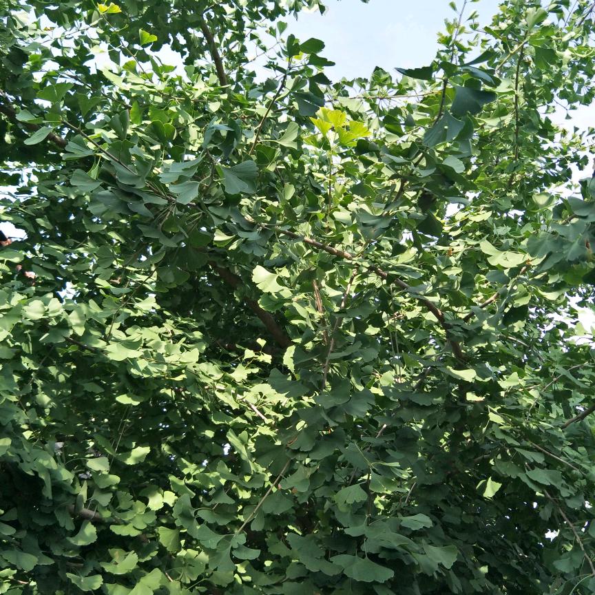 用户1024879177893
