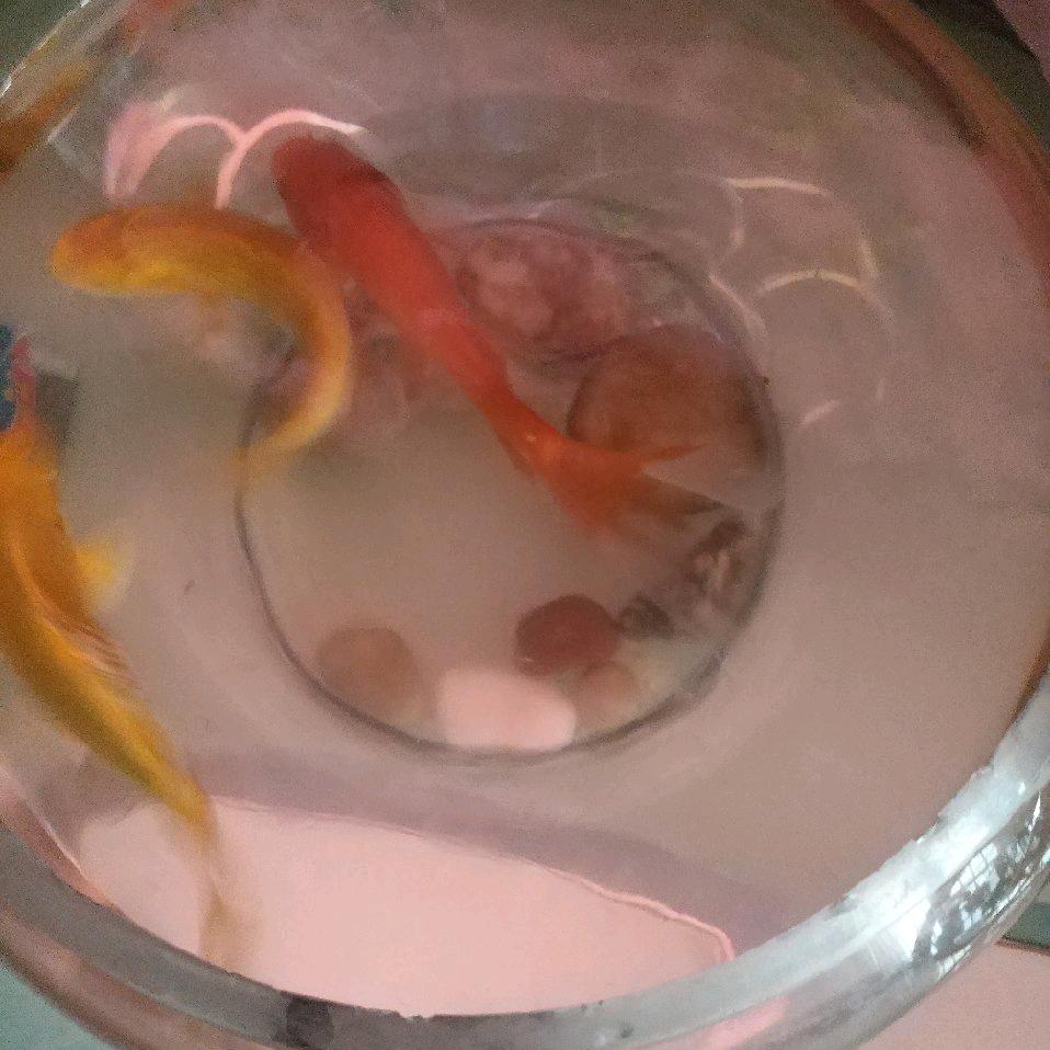 水润财源，有舍有得，善侍自己
