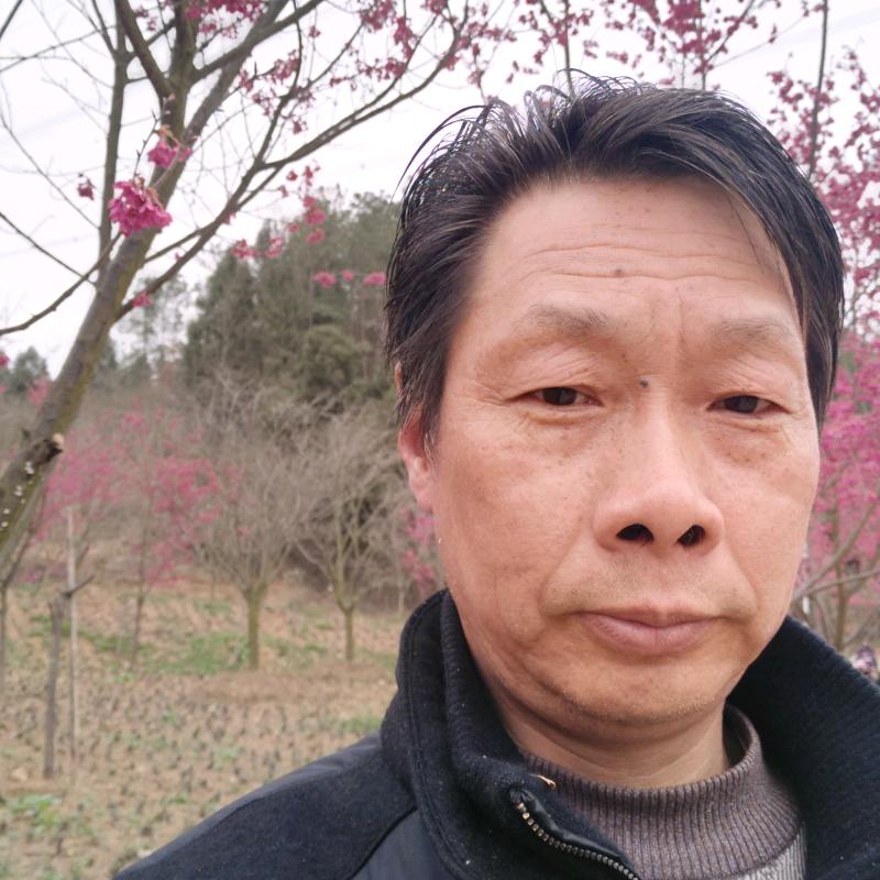 天山雄鹰
