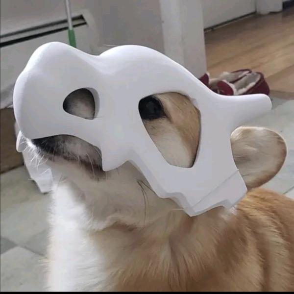 小小牙