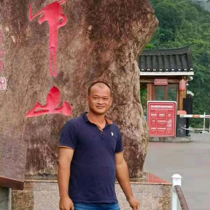 孤傲残雪