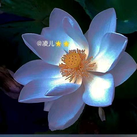 用户9856617652368