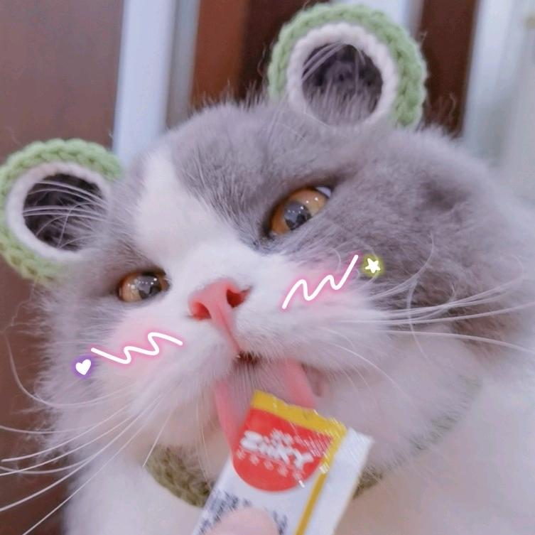 卡拉是条狗