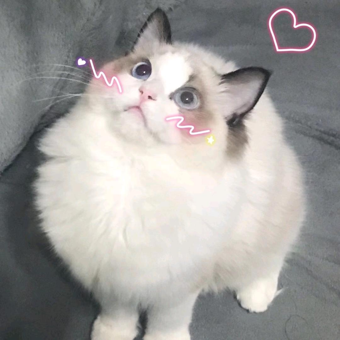 大大