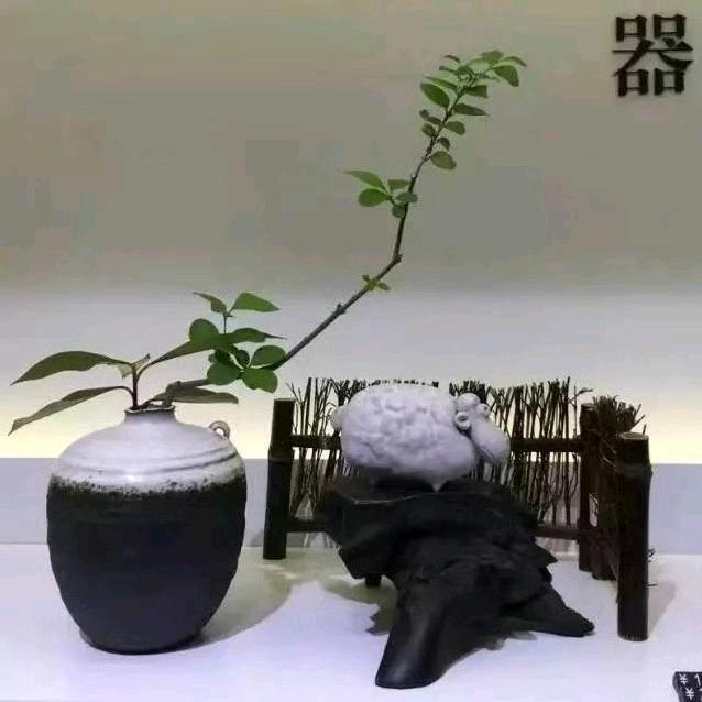 跑步的诺诺