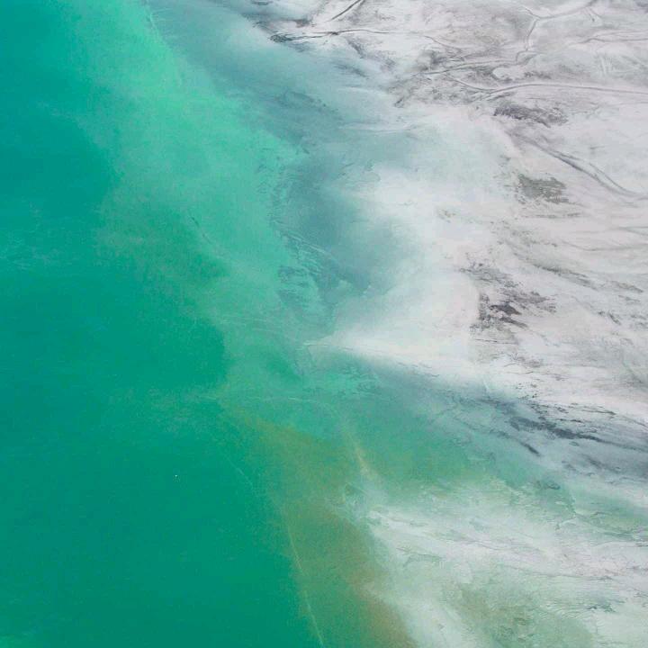 南阳平姐~