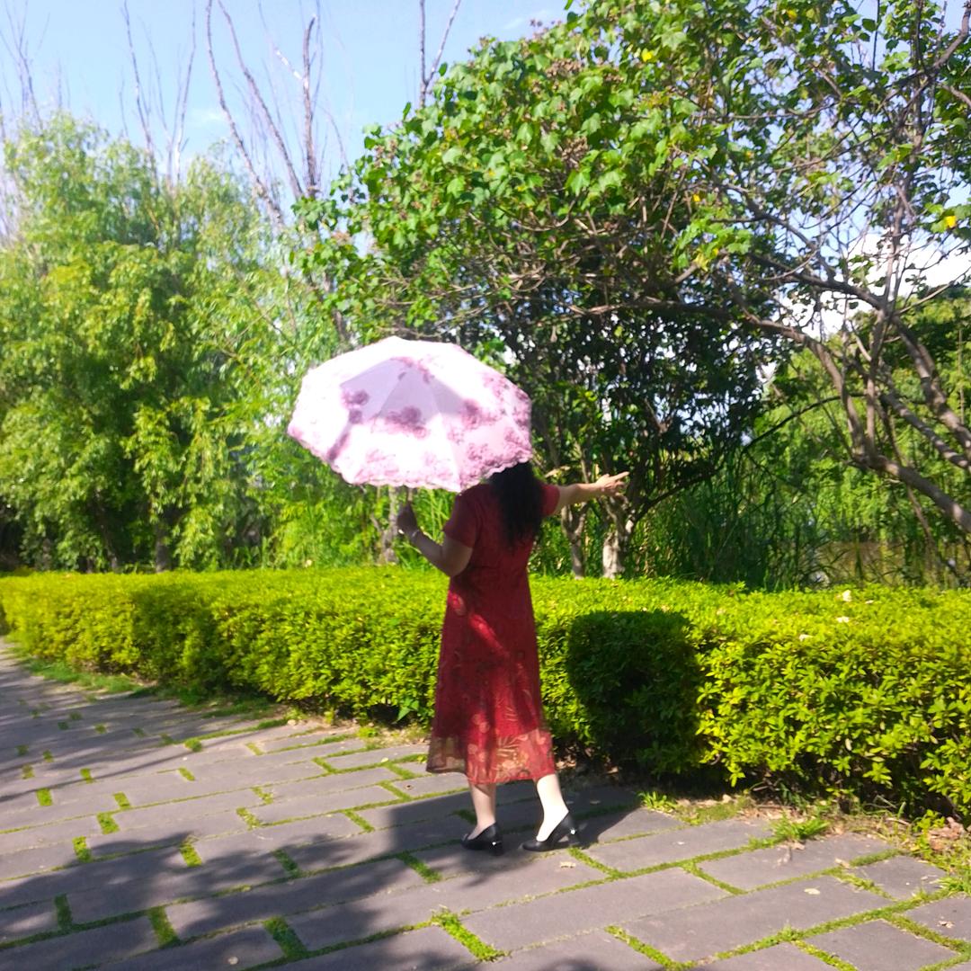 郑姐(好物在橱窗)