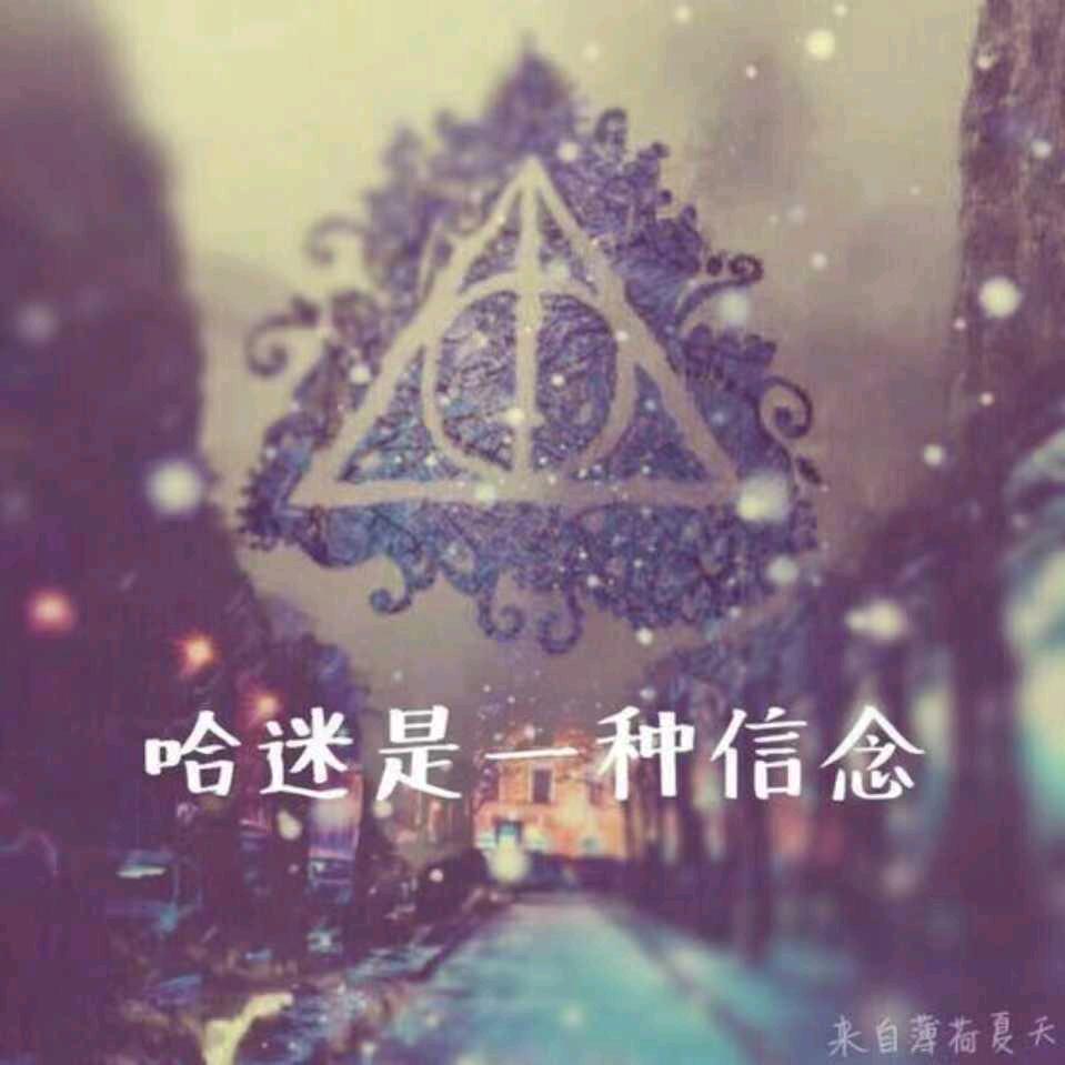 麻瓜小宝宝