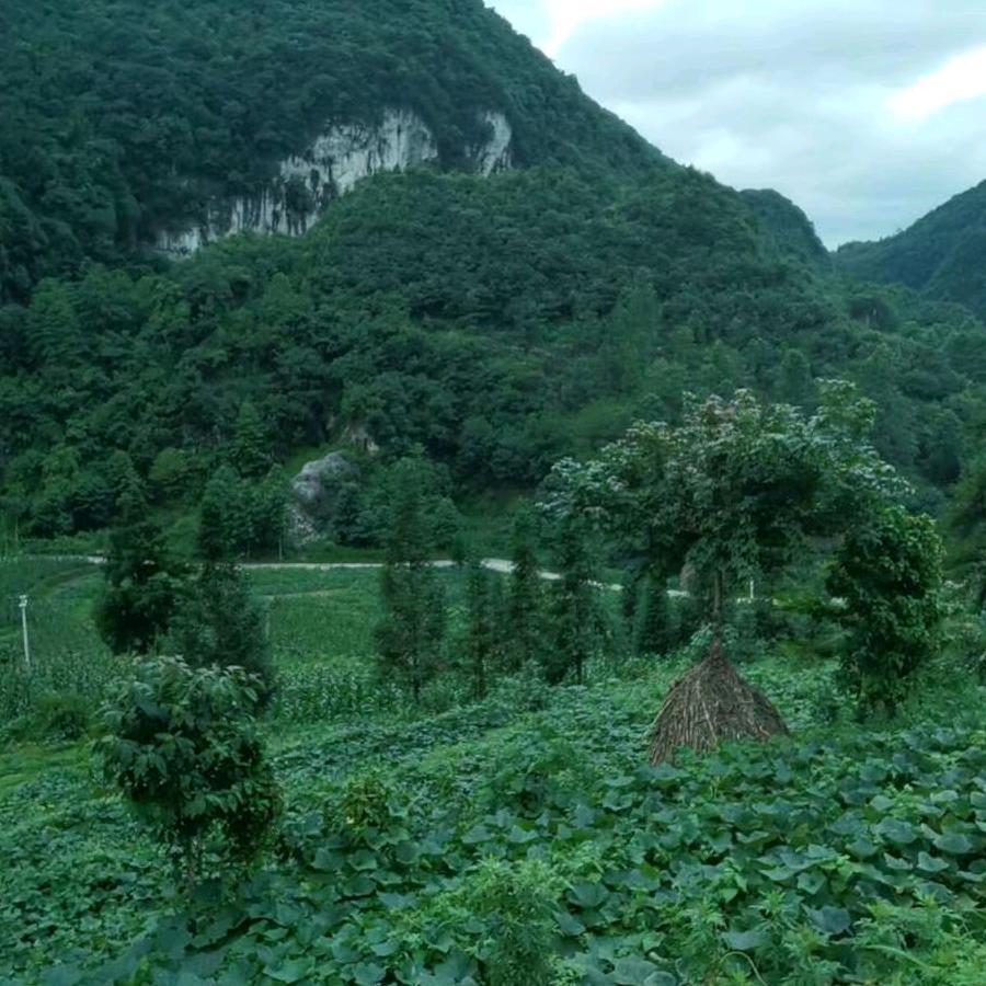 凸爷