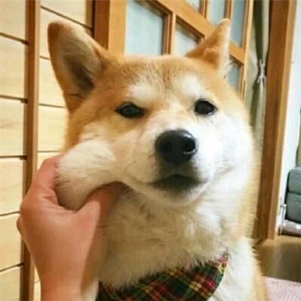今晚不开车
