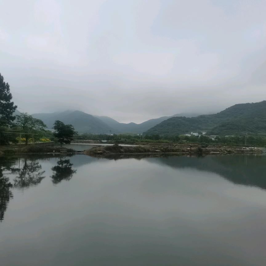 春晓陆家垂钓园