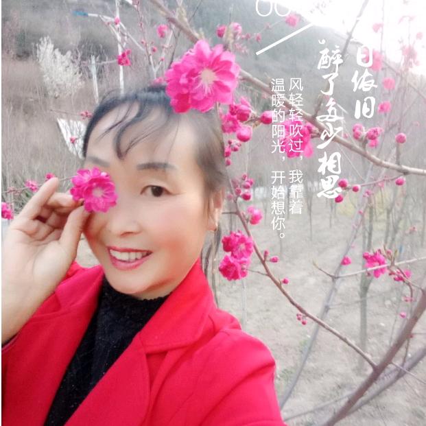 云朵玫瑰