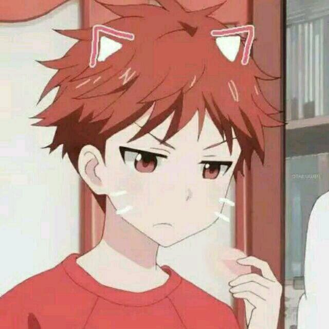 染年凉城似染瑾