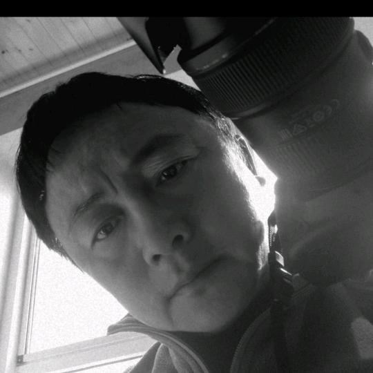 风的羽翼