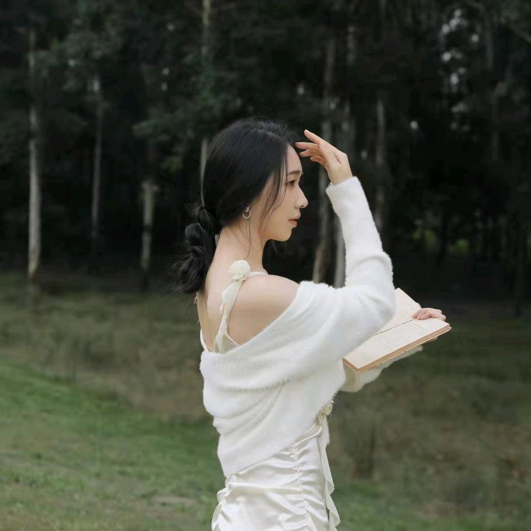 清雅淡然