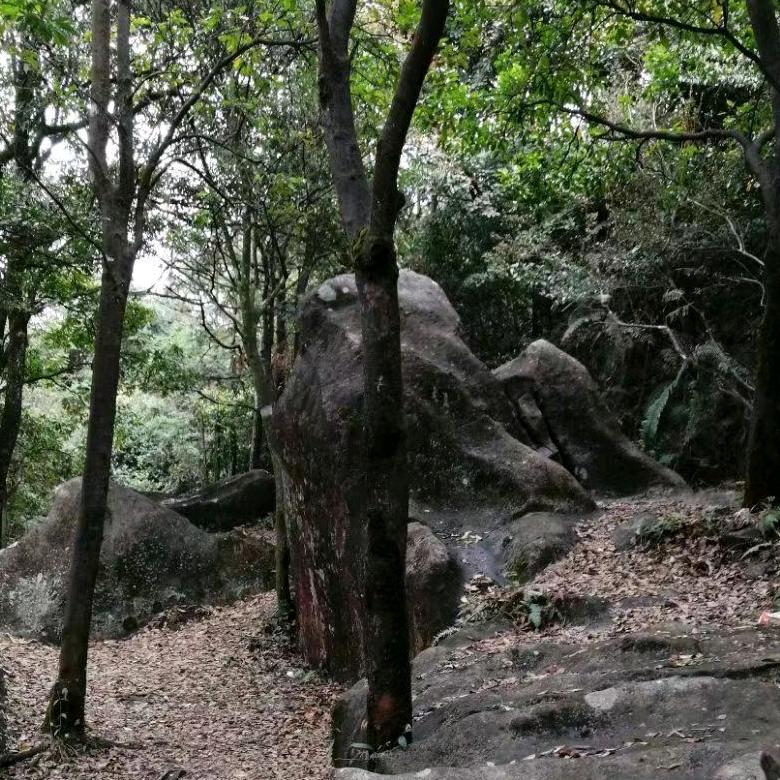 认真打拼  