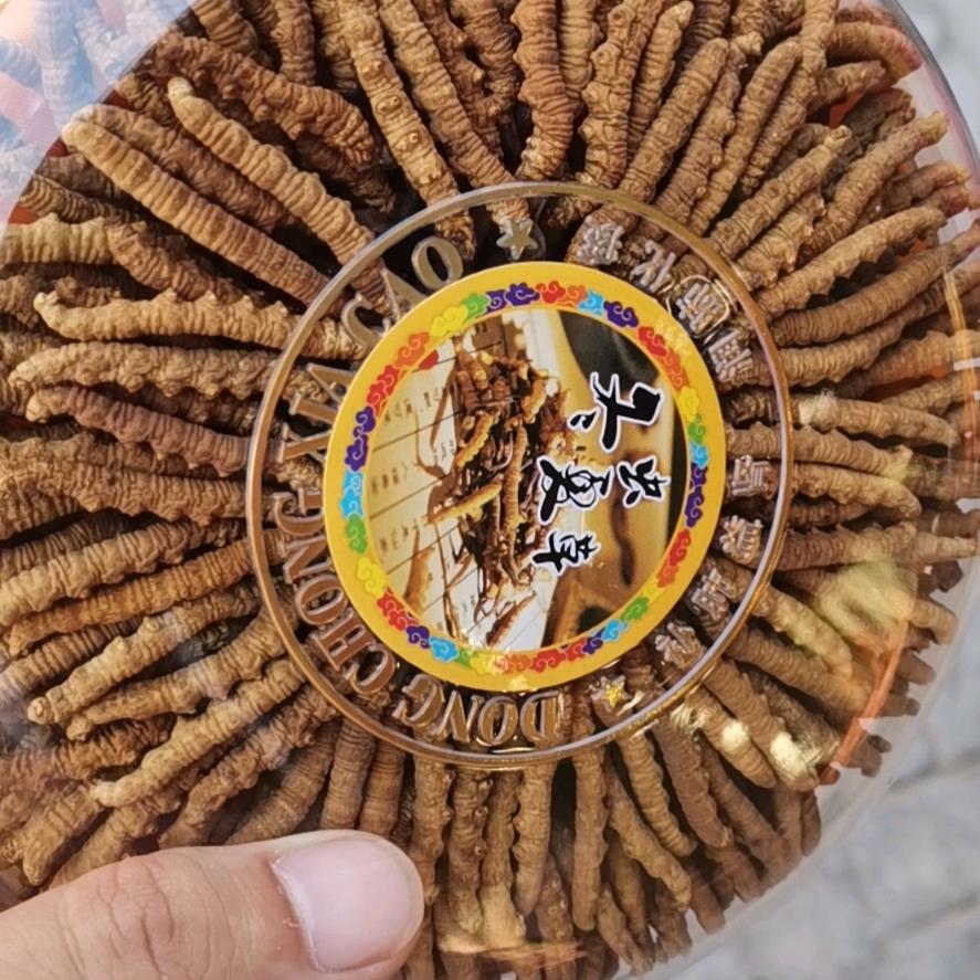 倪师野生弟子，中药药师