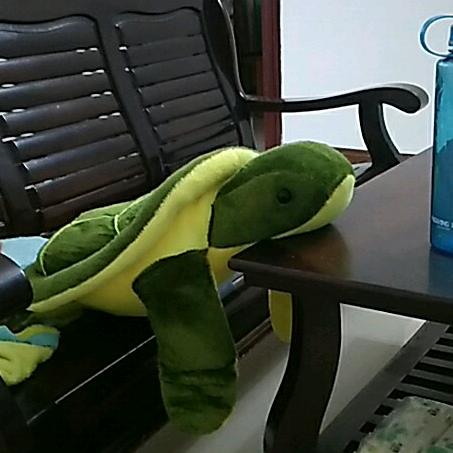 重生小子