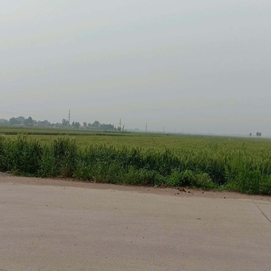 新的一天更美好