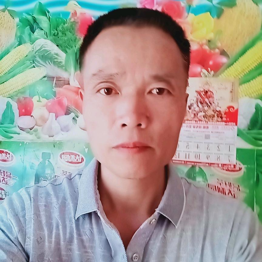 金城达人