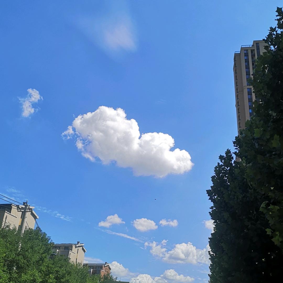 跳舞💃的兔子🐰