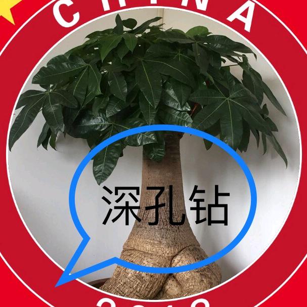 穿越钢铁1