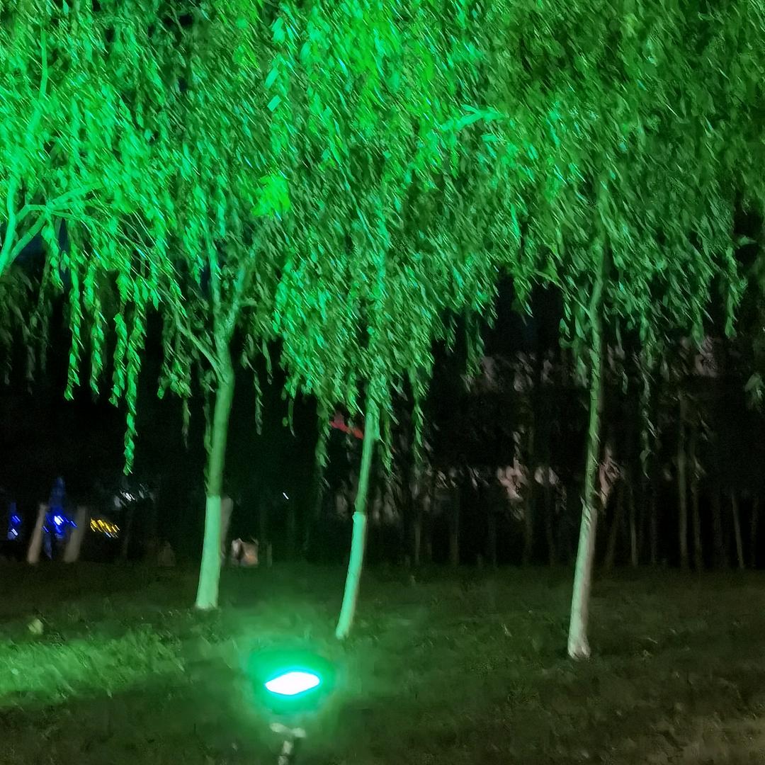 我为峰