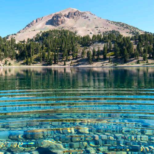 中国熊猫👊批发手机壳，手机膜，充电器✌