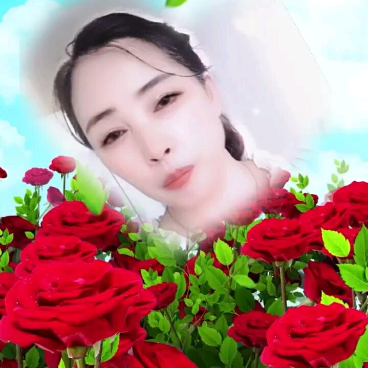 一把纸伞忆河南