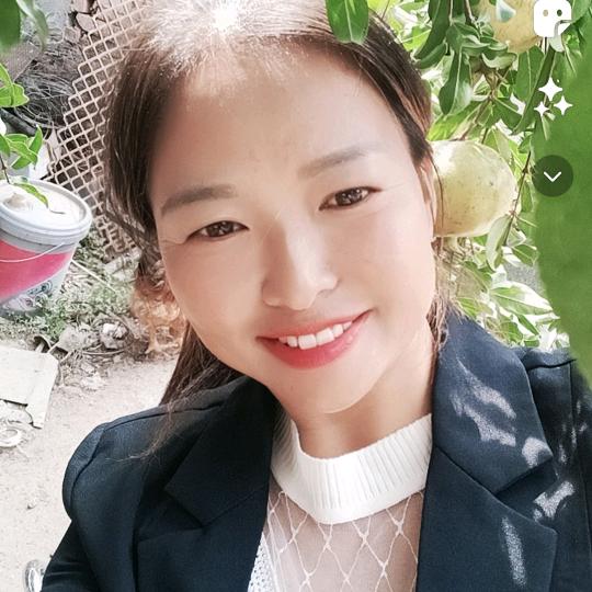 河南的雪(跨区收割麦子)