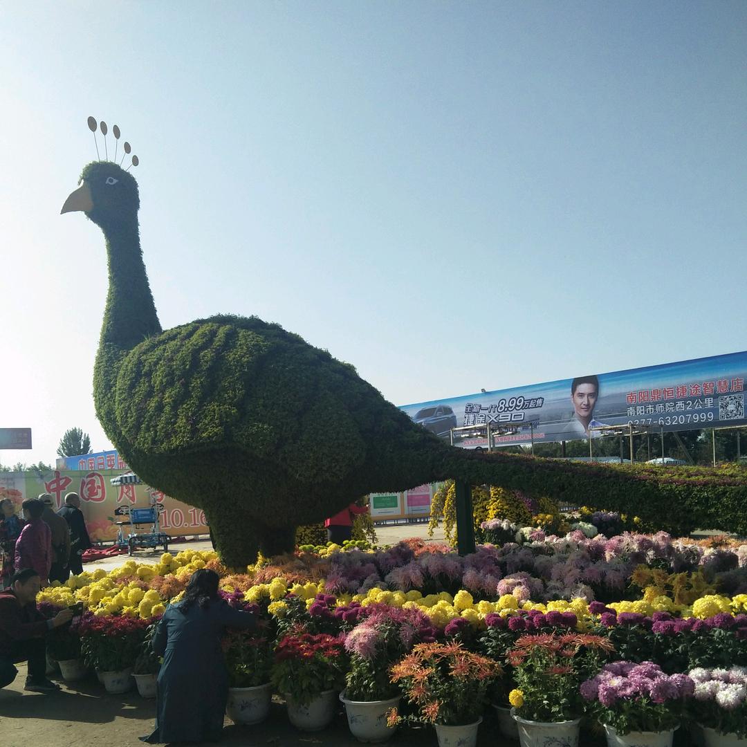 吴大姐