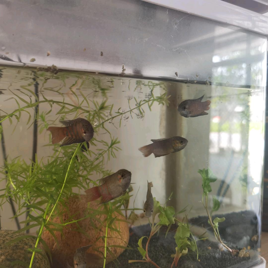 选择希望头像