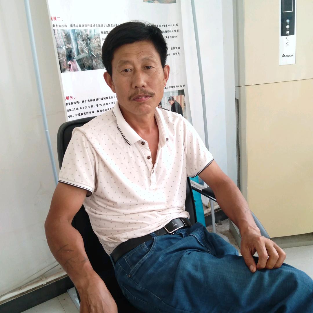 王者归来(斗鹌鹑)