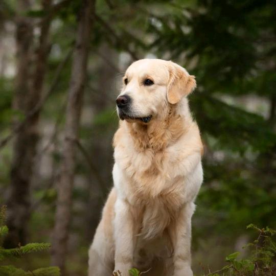 青春美好的回忆