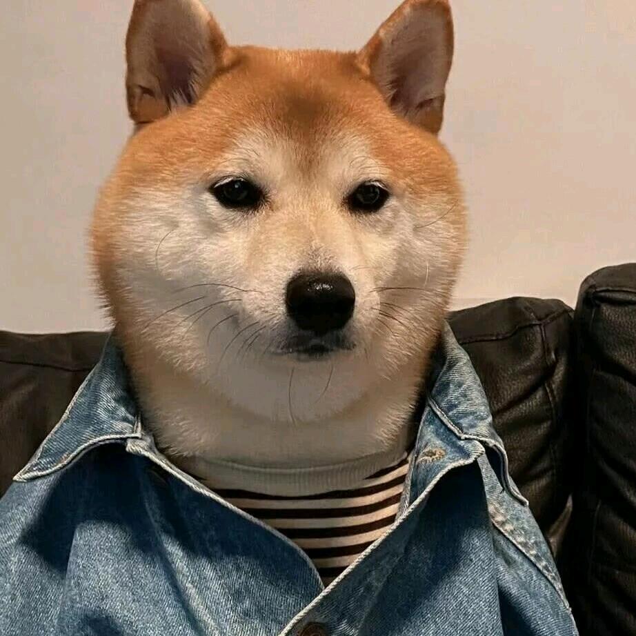 云南有读教育