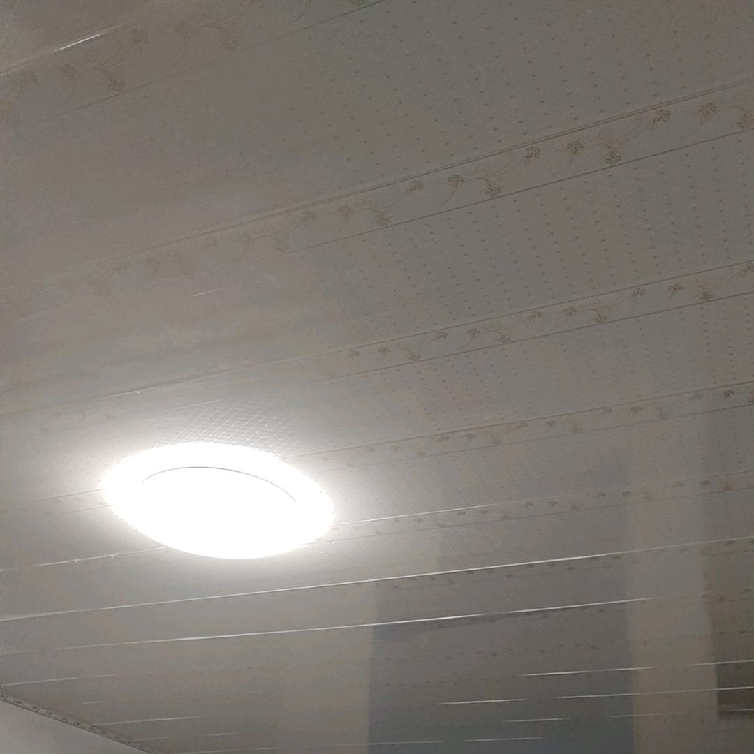 午夜Π炖豆腐