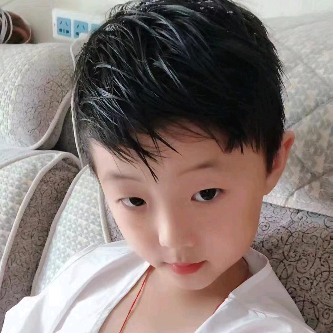 柳芳