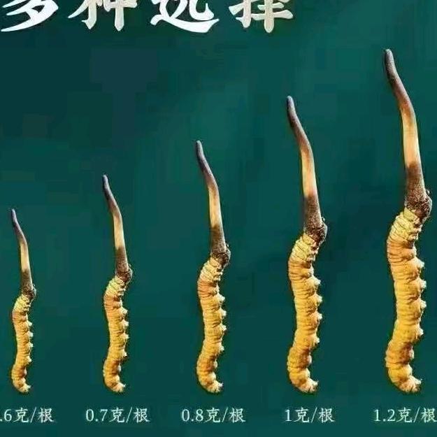 马进福