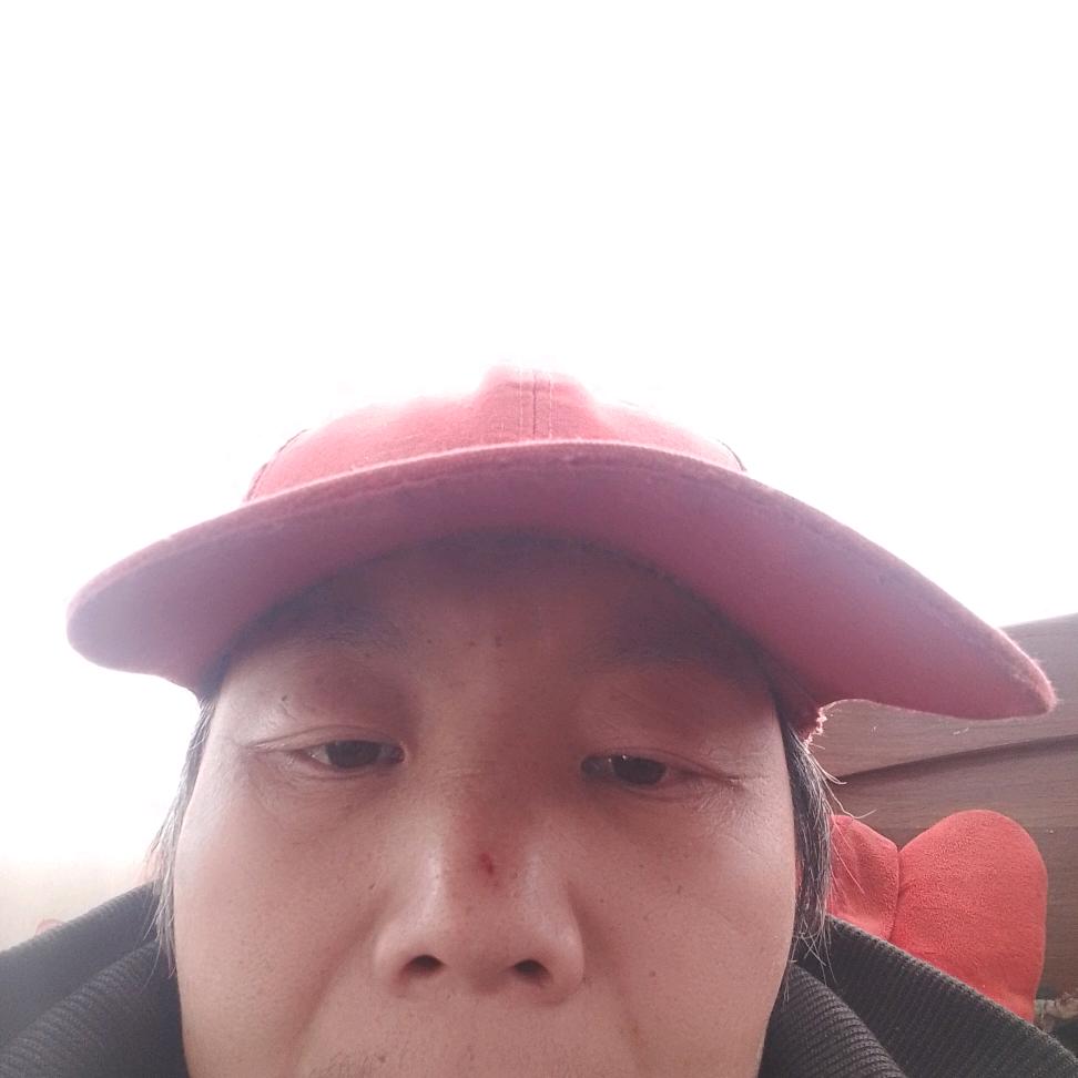 快乐小杨