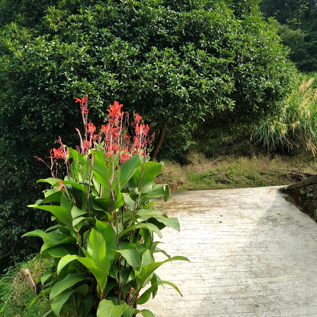 桃益石福