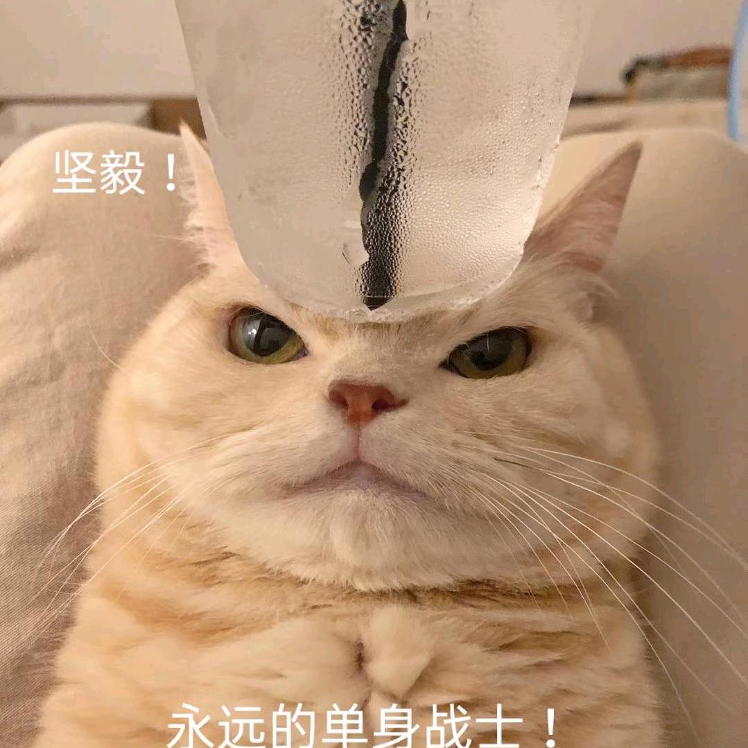 搞点夜点心778